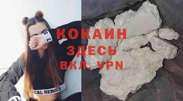 ГАЛЛЮЦИНОГЕННЫЕ ГРИБЫ Михайлов