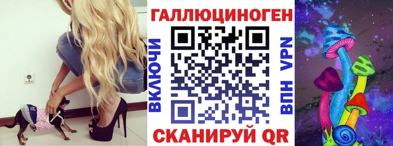 Галлюциногенные грибы Psilocybine cubensis  Приморско-Ахтарск 
